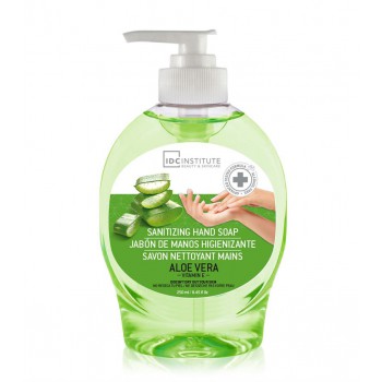 HAND WASH SANITZER 250 ml ALOE VERA HAND WASH SANITZER 250 ml ALOE VERA