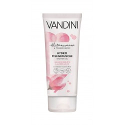 Vandini