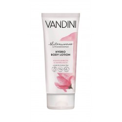 Vandini