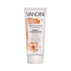 Vandini