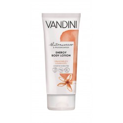 Vandini