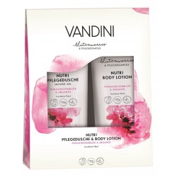 Vandini