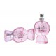 Pink Candy EDP| DIsplay 20 + 1 Tester | 25 ml